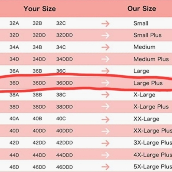 Yvette High Impact  Sports Bra - Picture 10 of 10